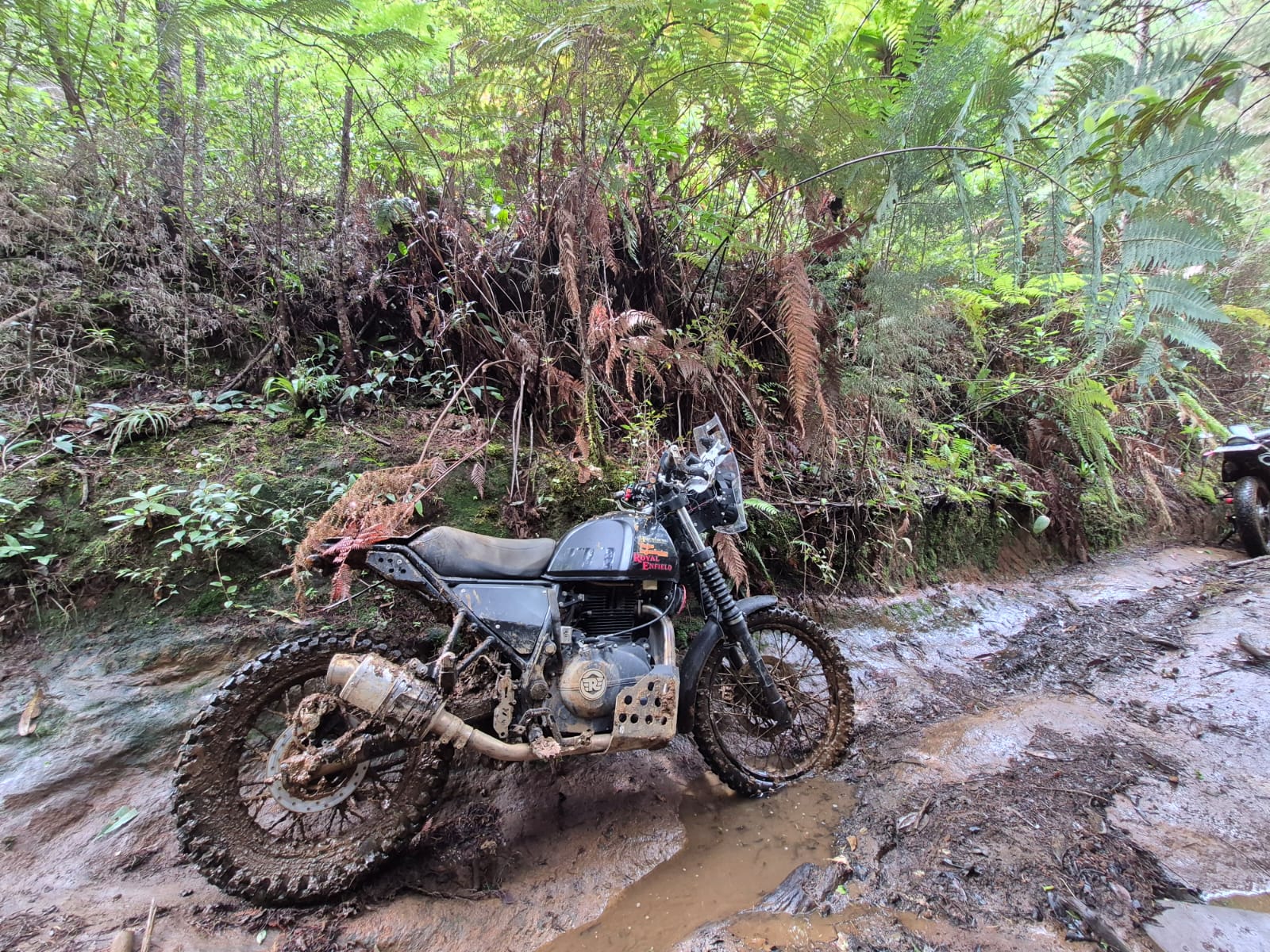 WhatsApp Image 2025-12-27 at 11.09.03 AM.jpeg