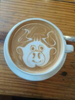 WhatsApp Image 2026-02-06 at 08.07.041.jpeg