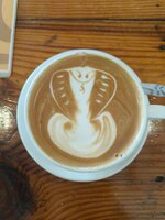 WhatsApp Image 2026-02-06 at 08.07.013.jpeg