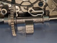 PXL_20260523_091305380.jpg